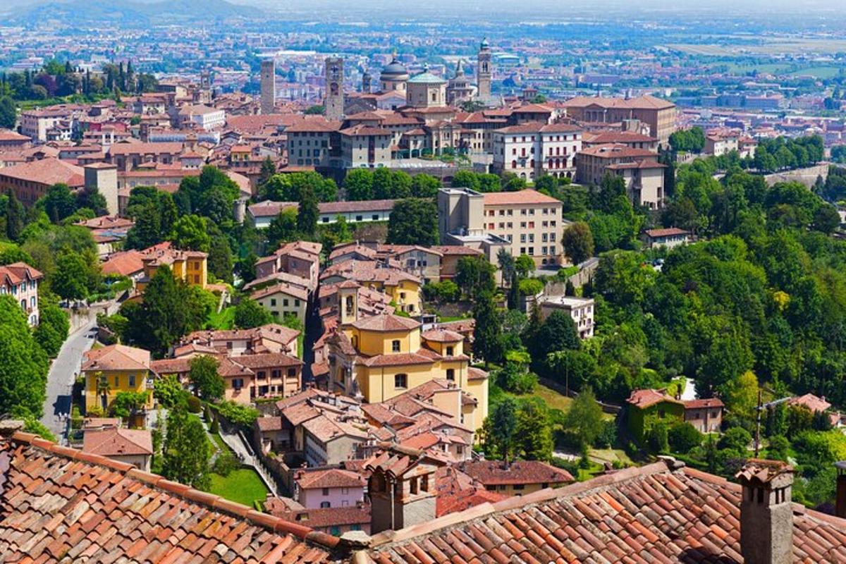 una vista di una città con case e alberi