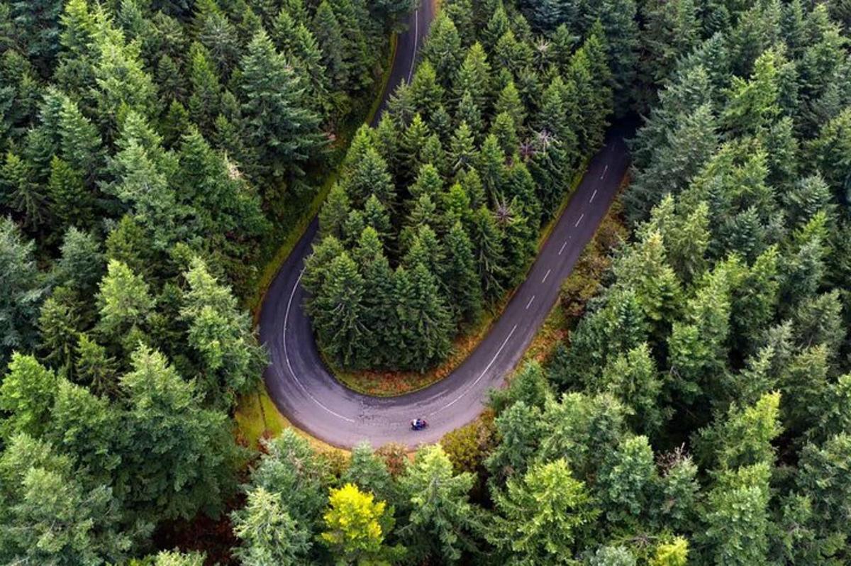 vista cenital d'una carretera al mig d'un bosc