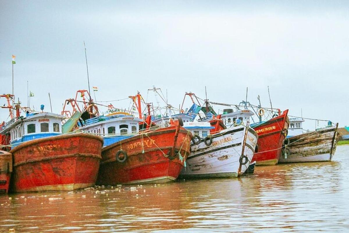 a group of boats sitting in the water