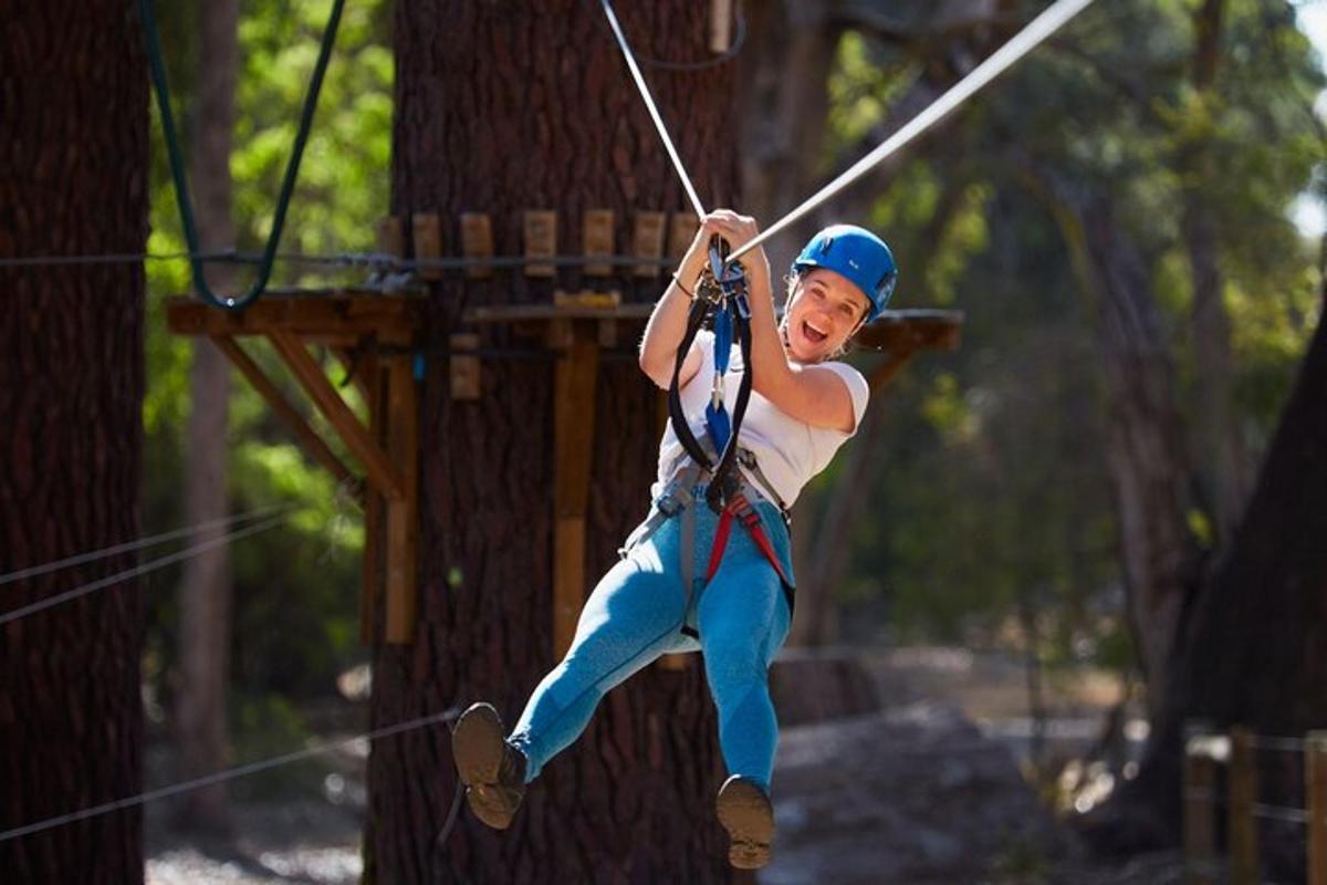 a man on a zip line in the trees