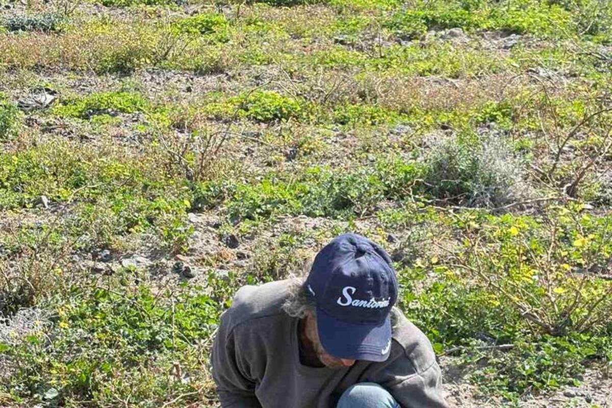 un uomo con un cappello seduto sull'erba