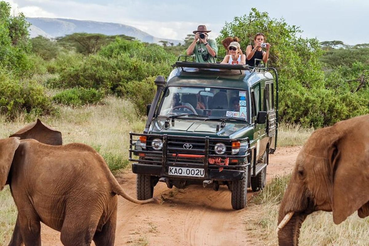 un grup de persones que viatgen en un vehicle per un camí de terra amb elefants