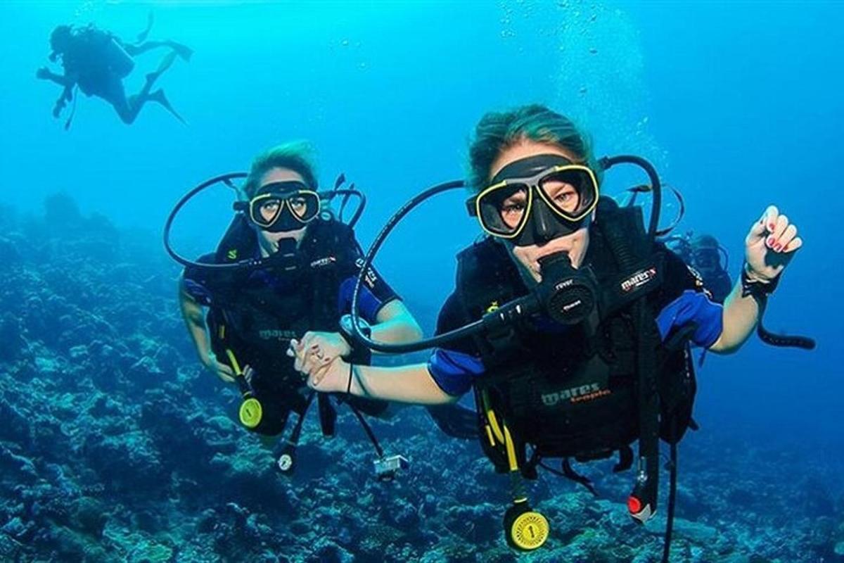 due persone stanno facendo immersioni subacquee nell'oceano