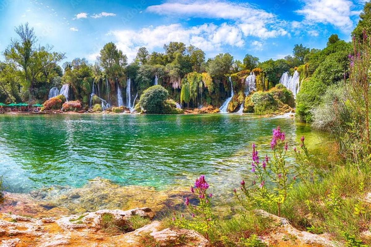 a lake with waterfall and flowers in front of a forest