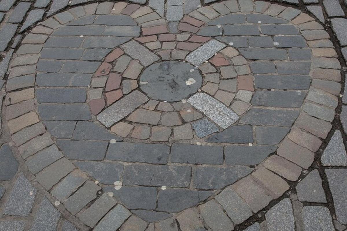 lillemustriga telliskivist kõnnitee