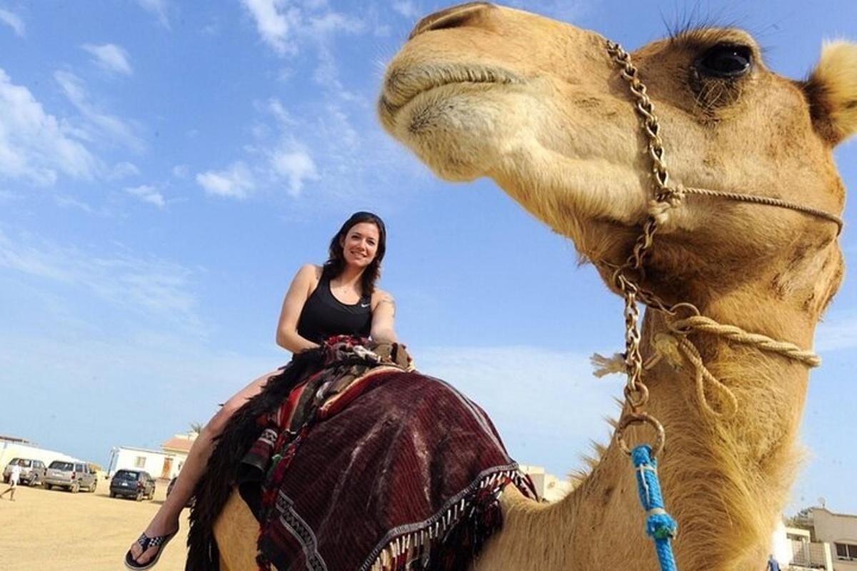 امرأة تركب على ظهر الجمل