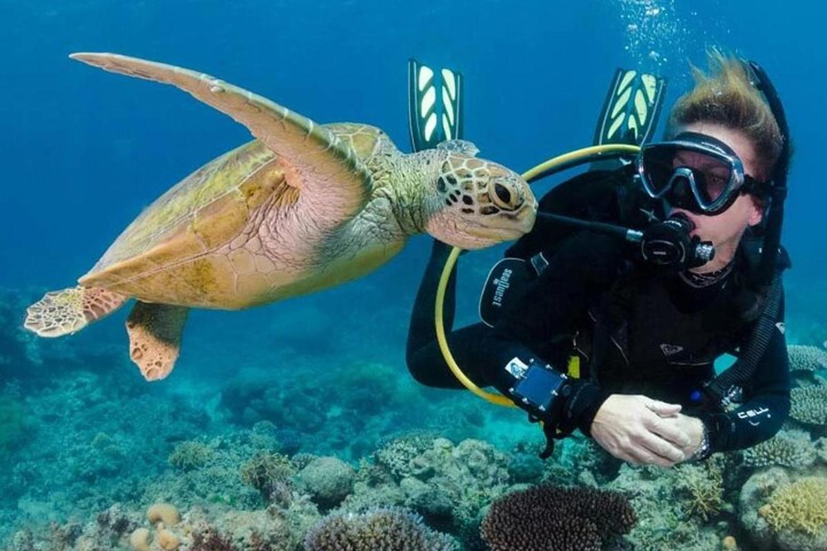 seorang lelaki mengambil gambar penyu di bawah air