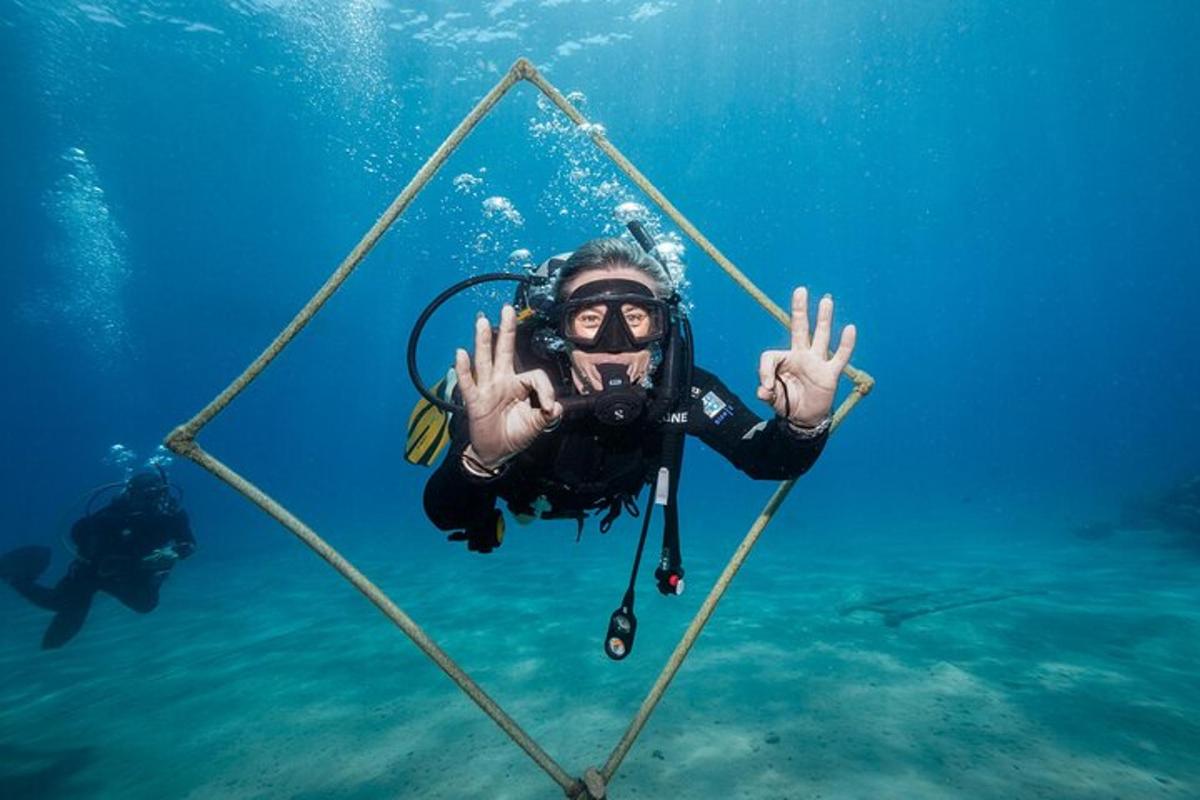 eine Person befindet sich im Wasser hinter einem Tauchnetz