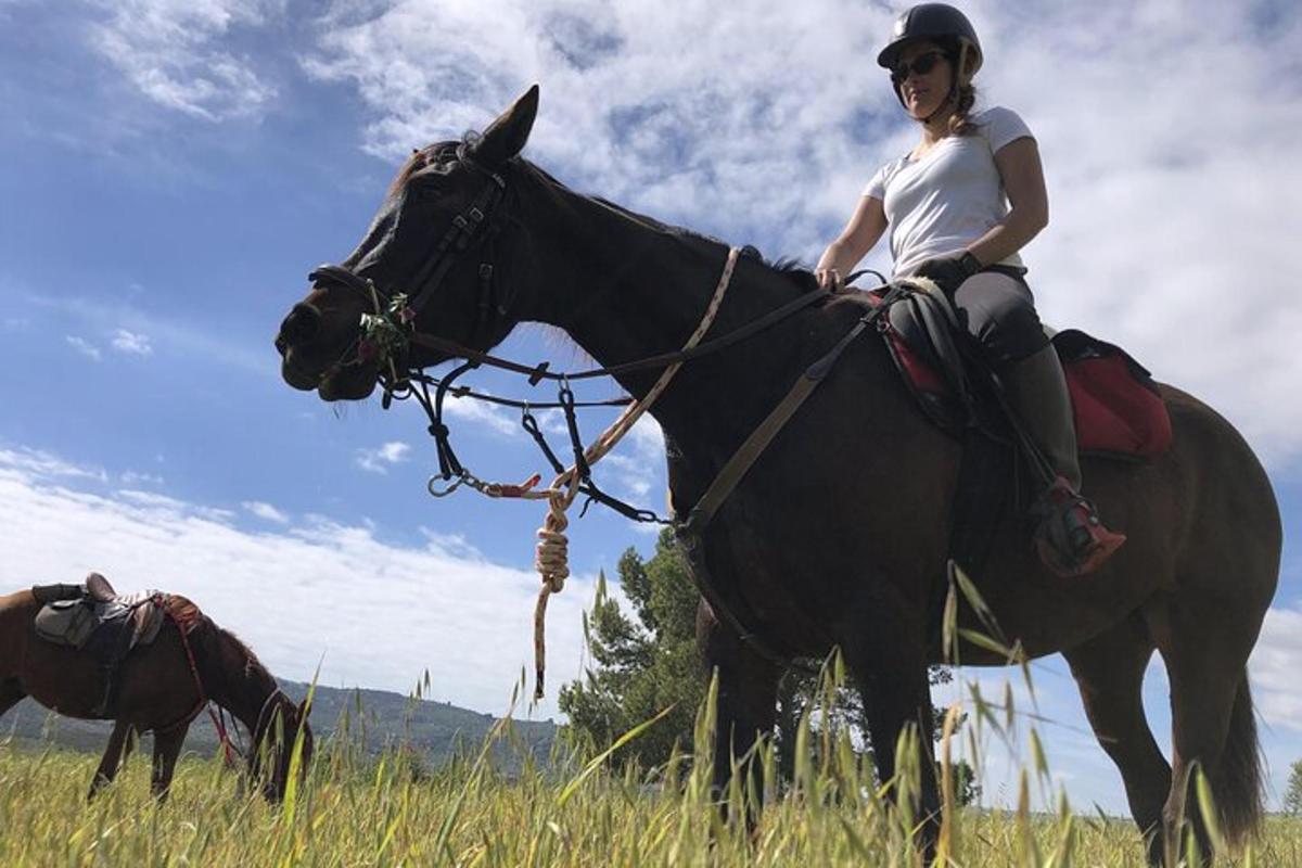 a woman sitting on a horse in a field