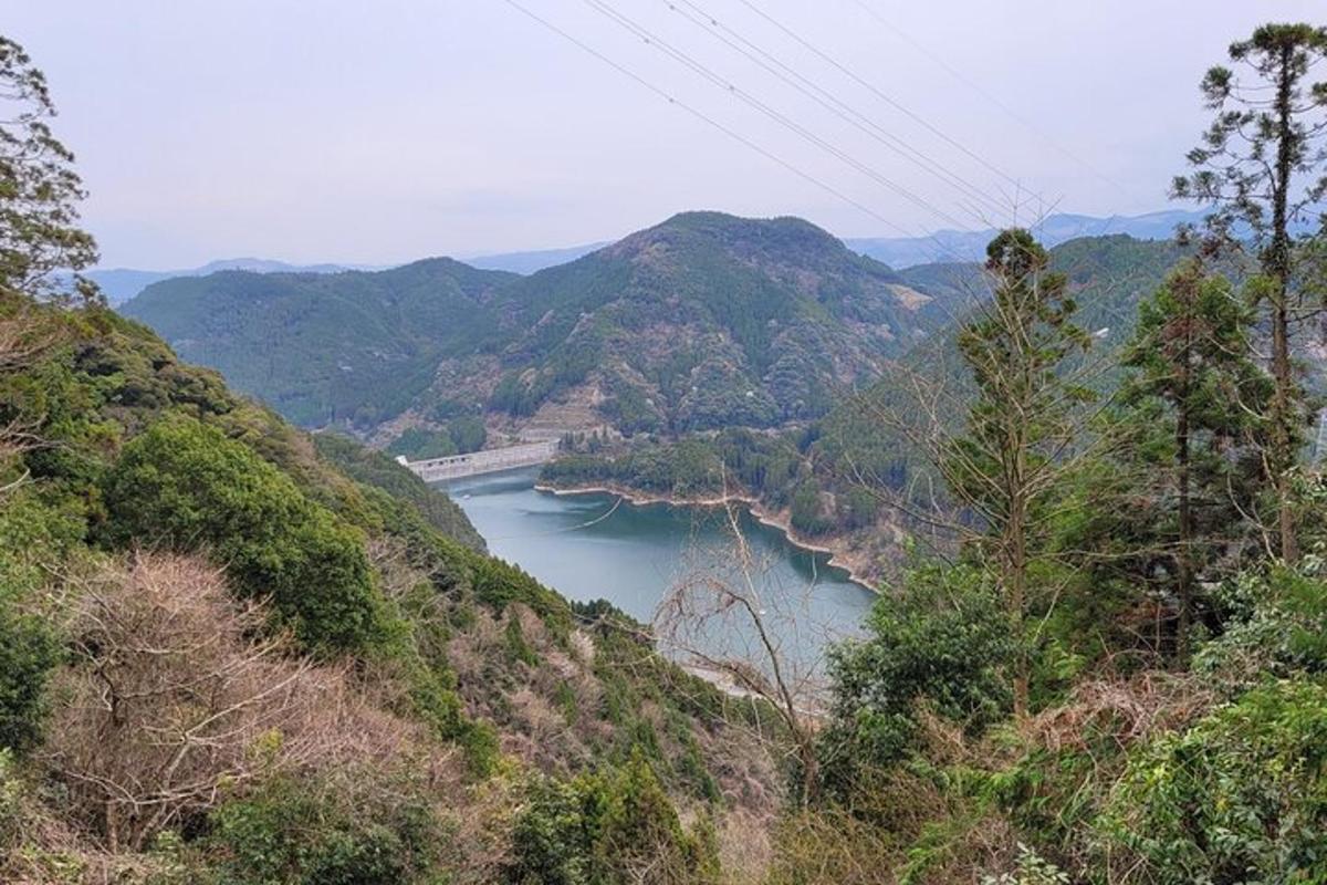 山谷中的河流景观