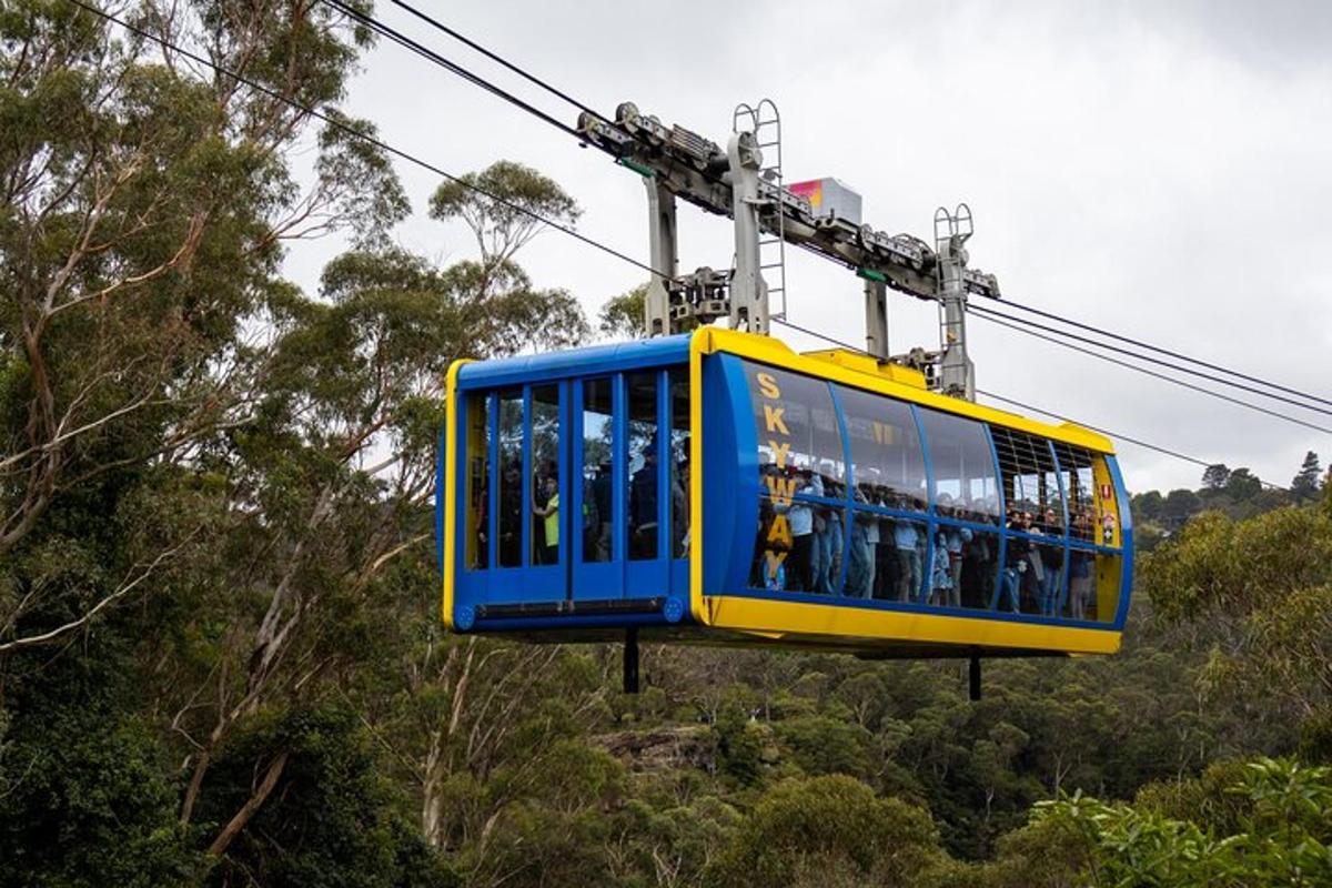 Photo de l’attraction numéro 5.