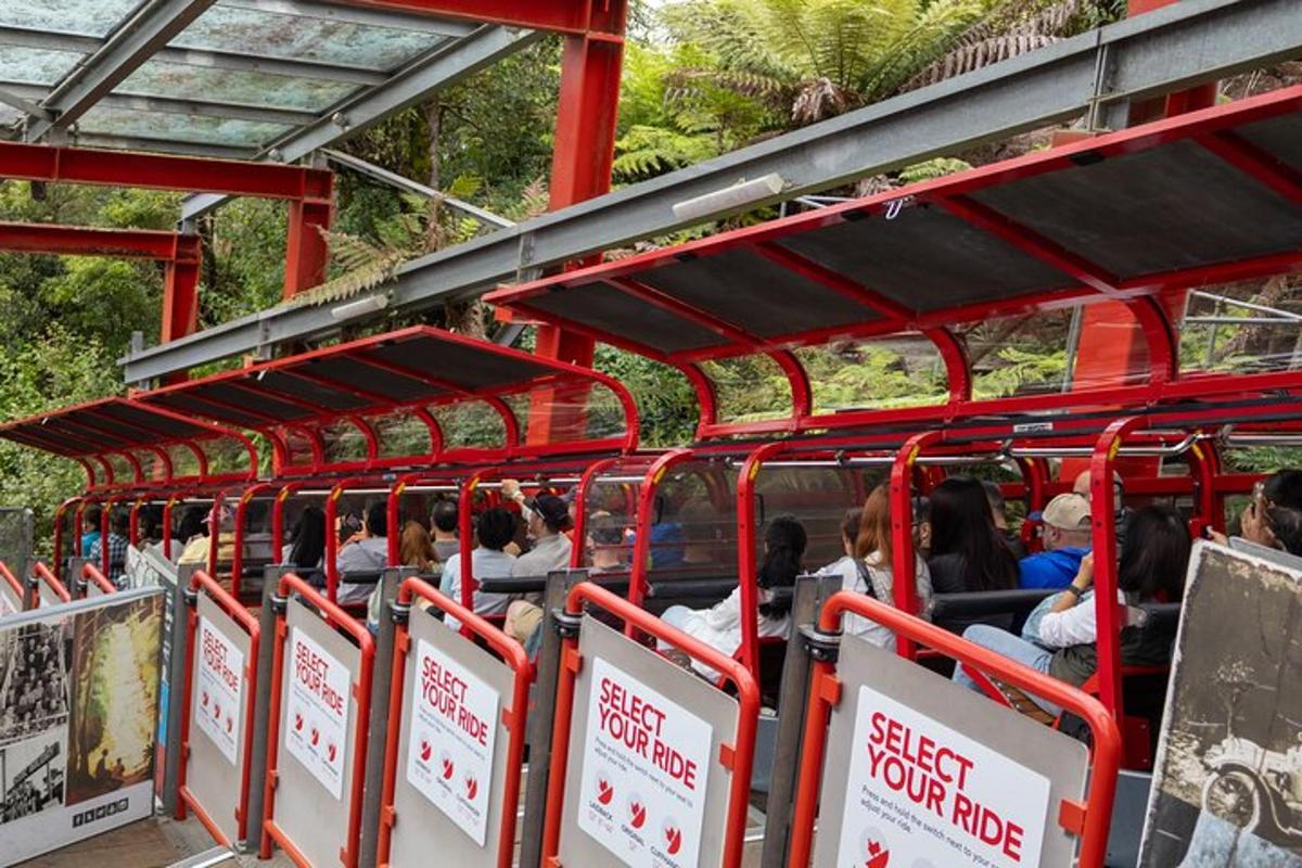 Photo de l’attraction numéro 6.