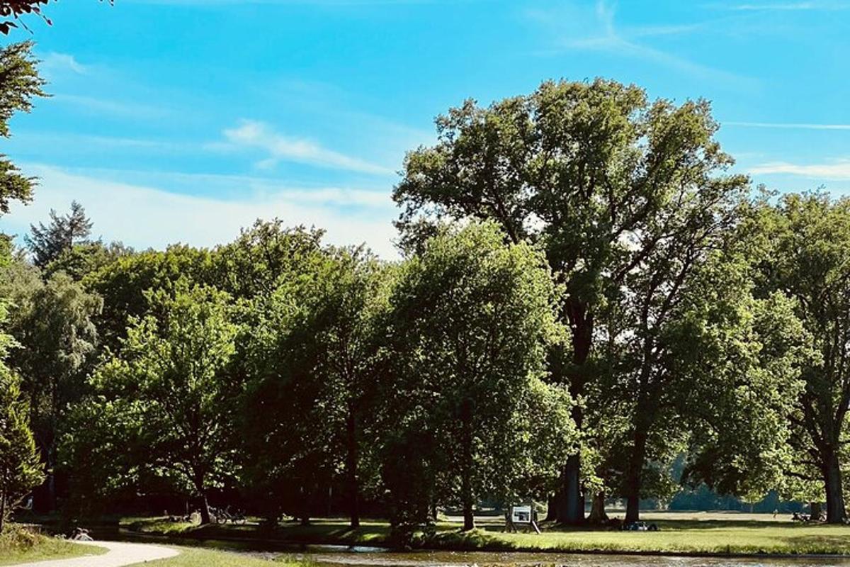 Un grupo de árboles en un parque en un día soleado.