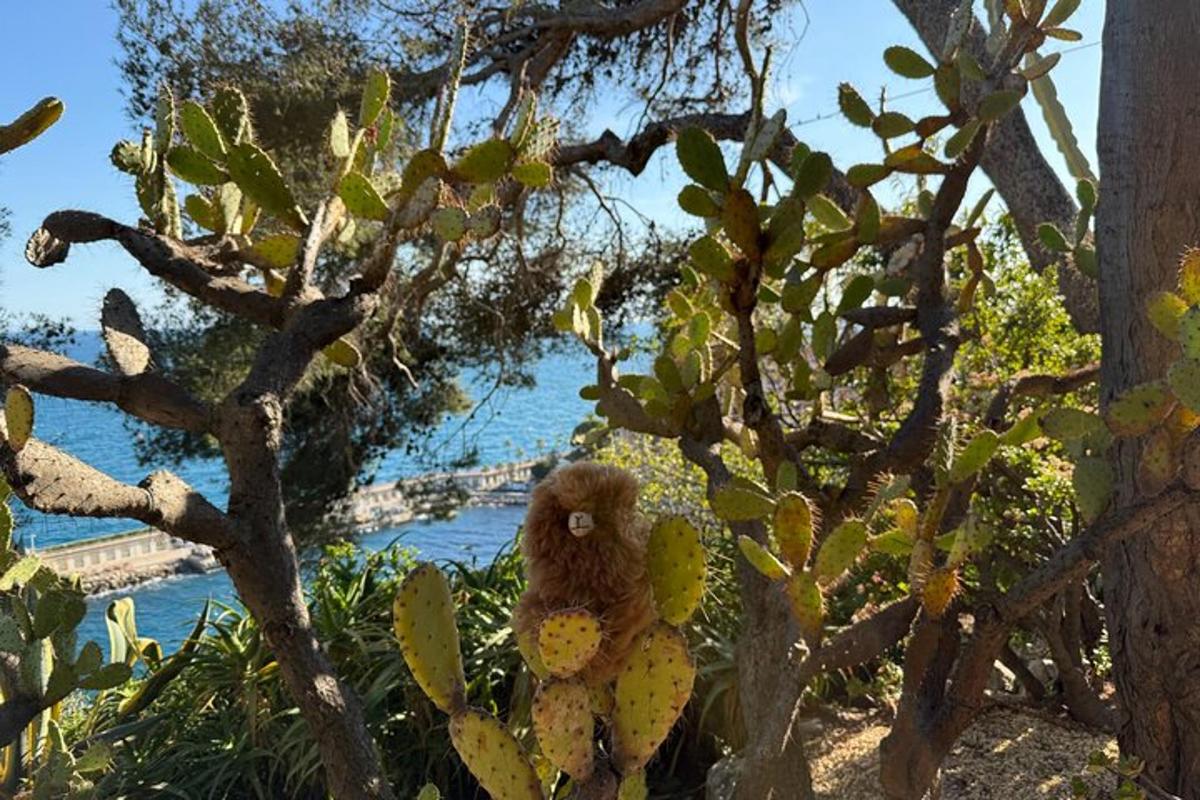 un ós de peluix està assegut en un arbre