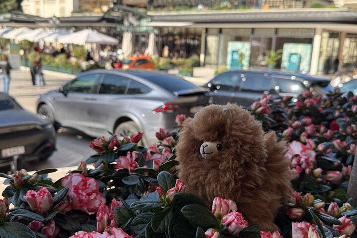 egy barna plüssmackó ül a virágok tetején