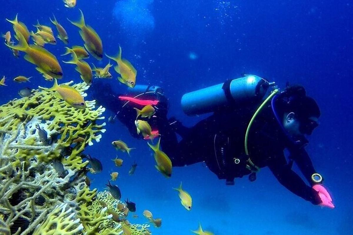 potápěč v oceánu s hejnem ryb