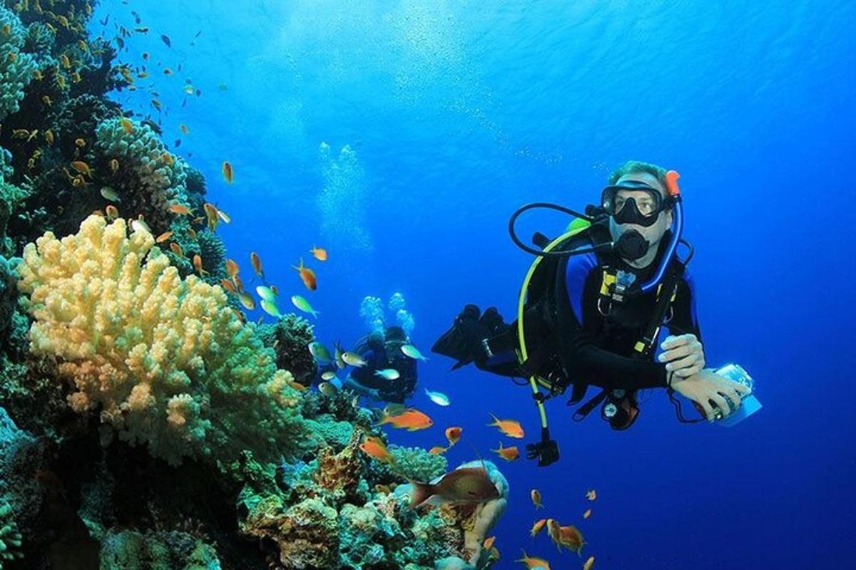 a man in a diving suit on a coral reef