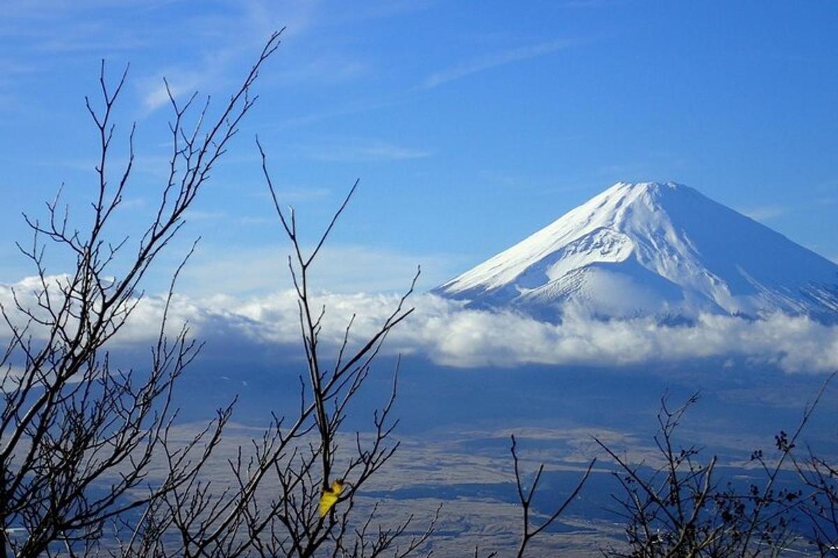 Una montaña cubierta de nieve en el cielo con un árbol.