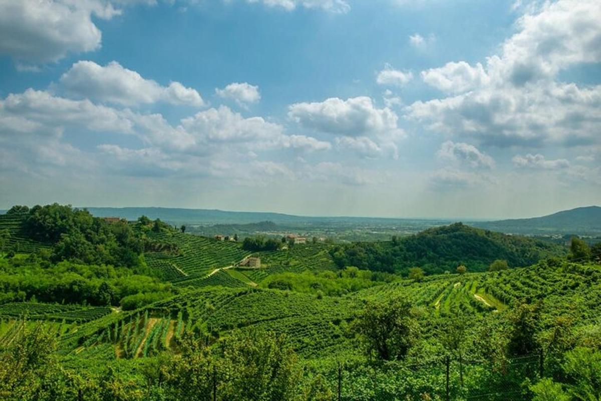 uma vista de um vale verde com árvores e montanhas