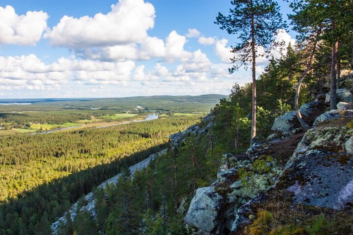 a view of a hill with trees and a river