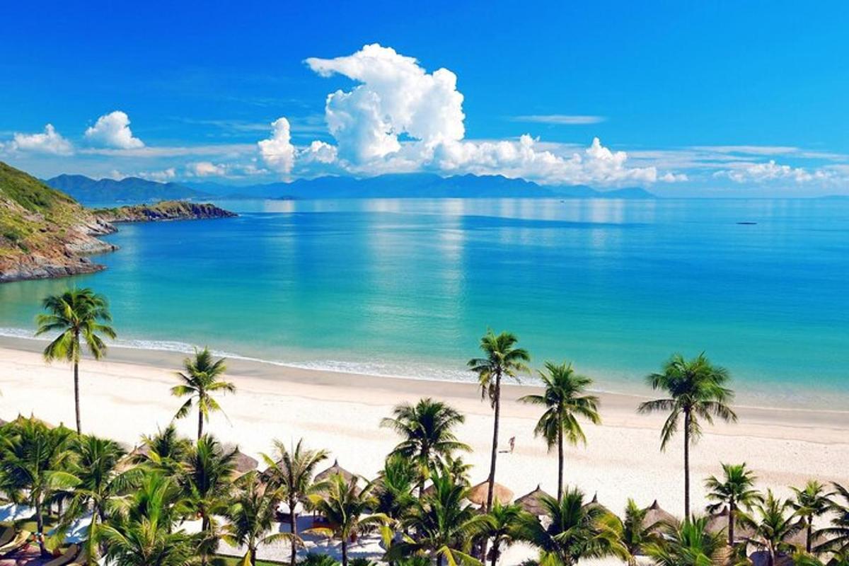 pemandangan pantai dengan pokok palma dan lautan