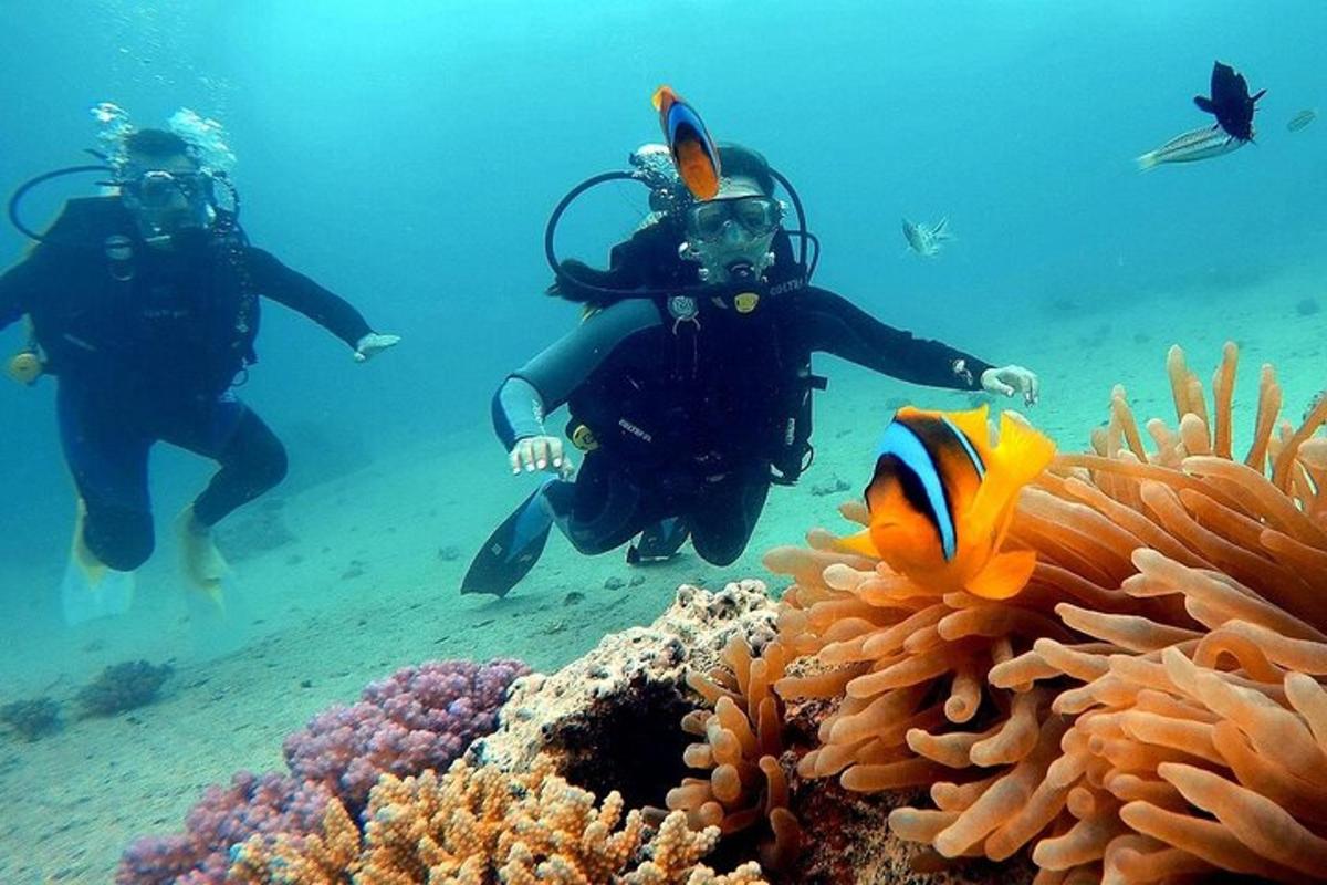 dva lidé se potápějí v oceánu poblíž Anemosy
