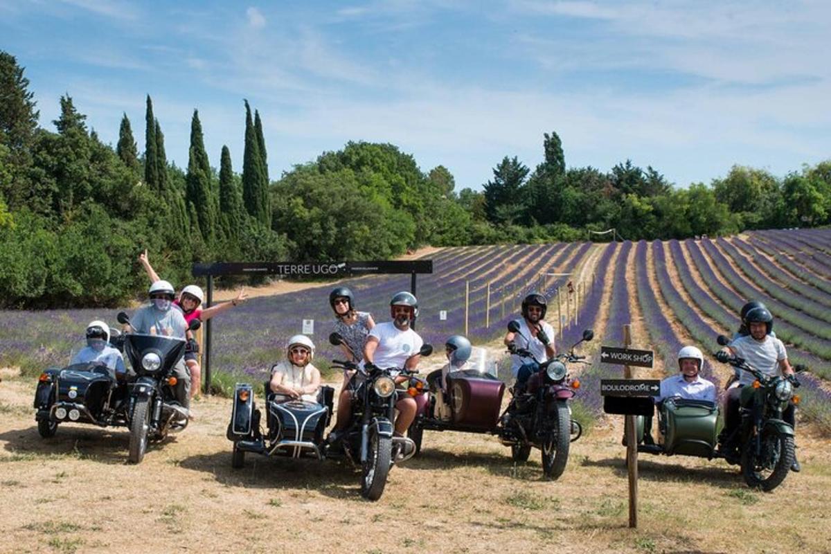 Un grupo de personas viajando en motocicleta por un viñedo.