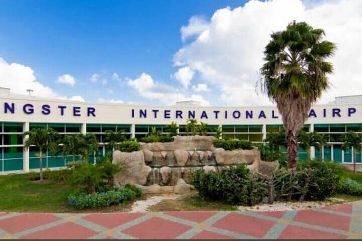 un aeroporto con una palma di fronte a un edificio