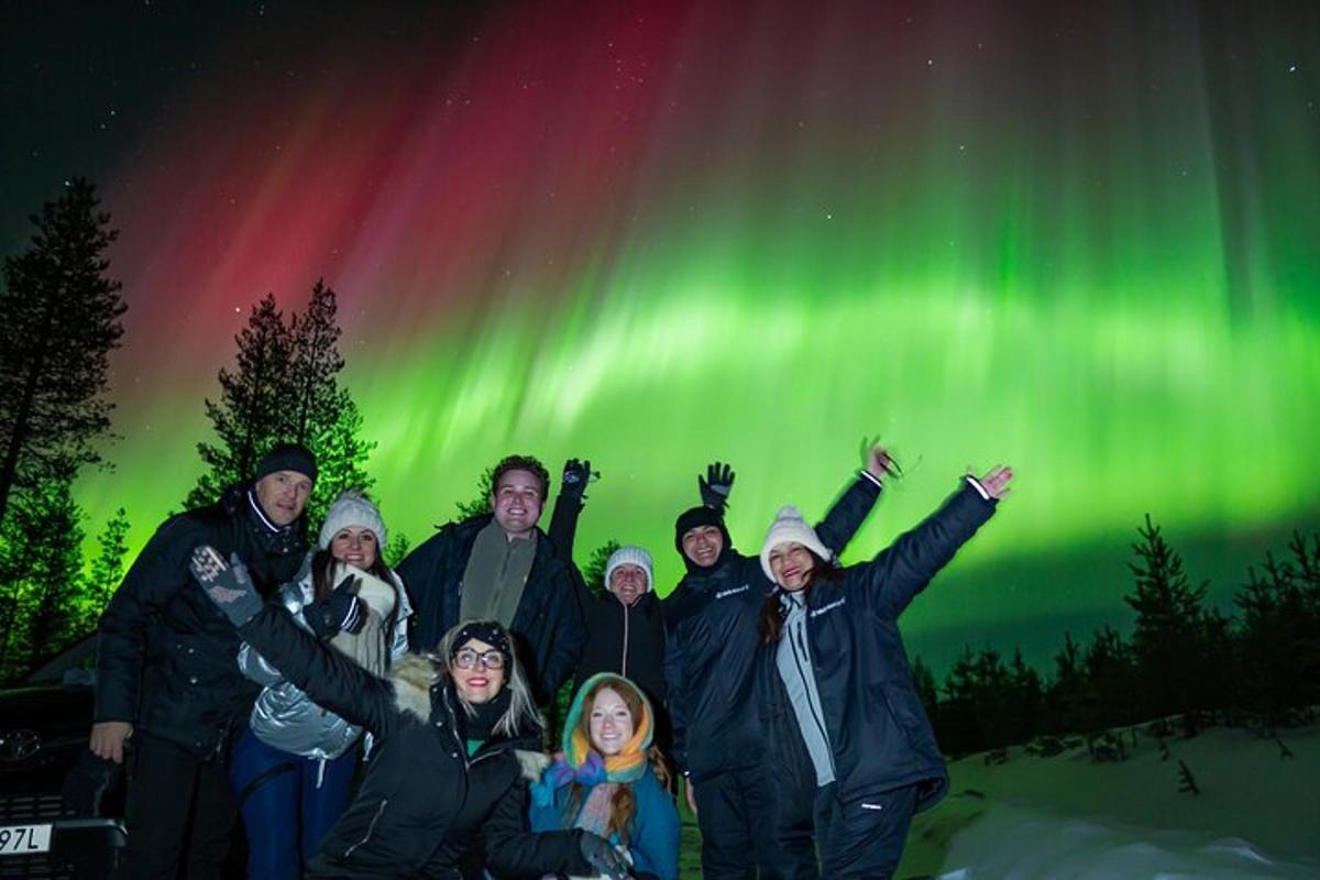 a group of people standing under the northern lights