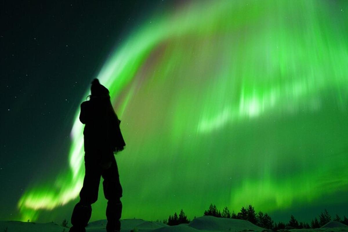 a person standing in front of the northern lights