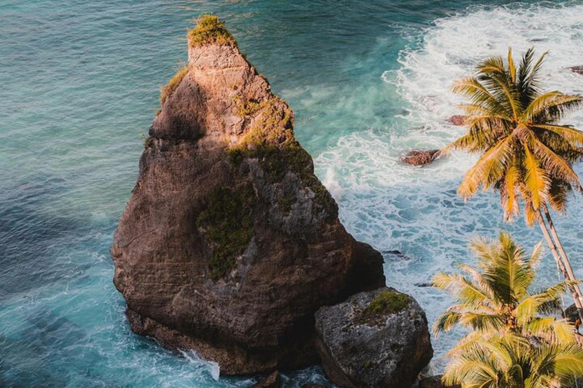 Una gran roca en el agua con una palmera.