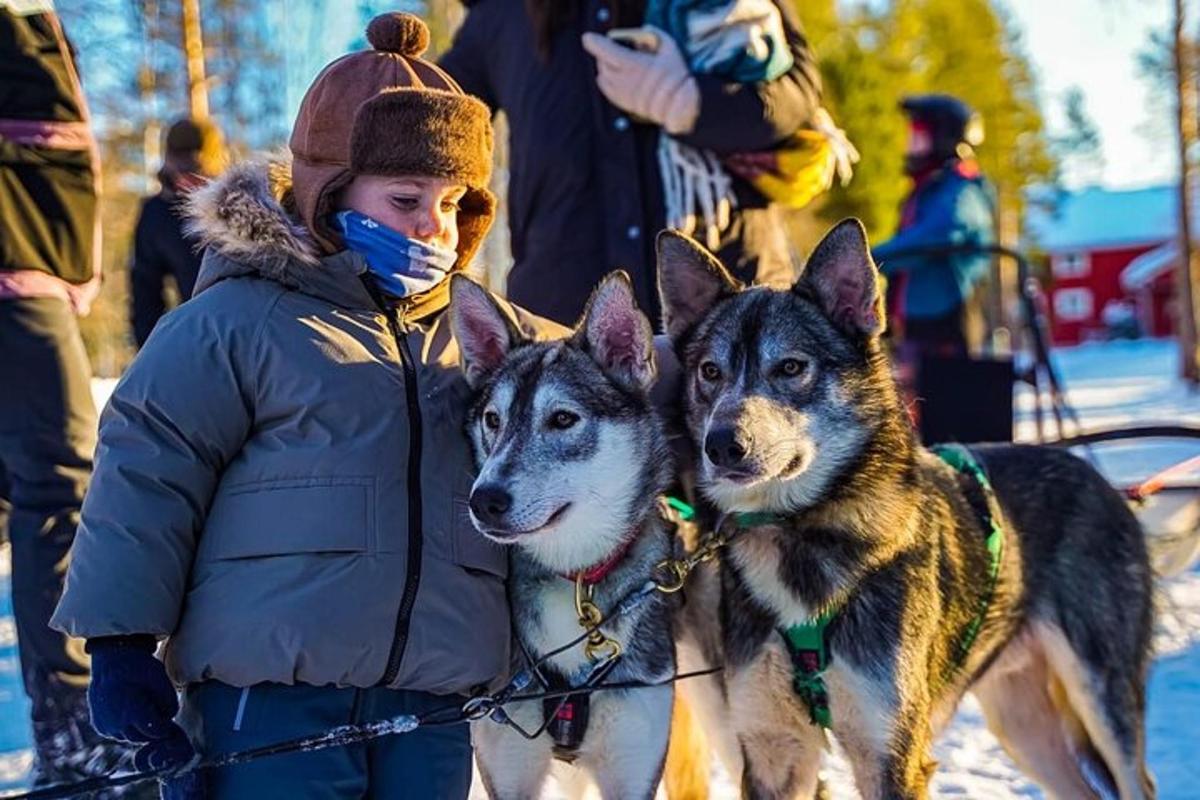 eine Frau steht neben zwei Hunden im Schnee