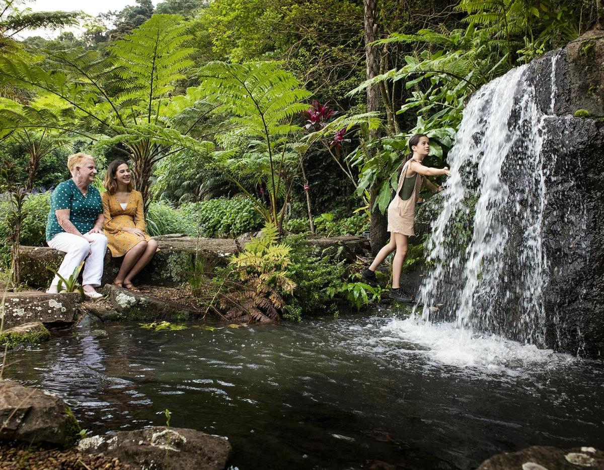 a group of people sitting next to a waterfall