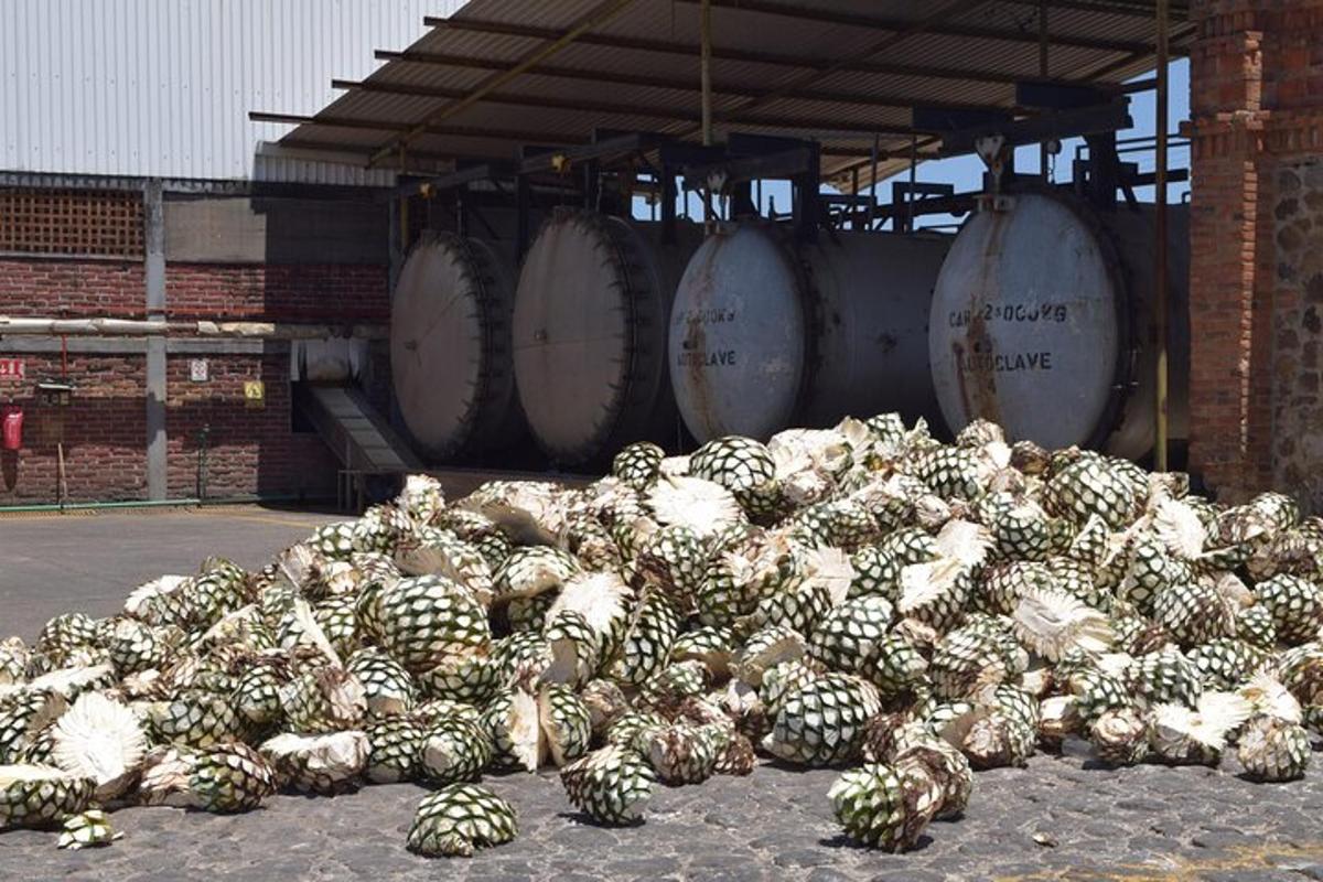 una grande pila di ananas in un magazzino