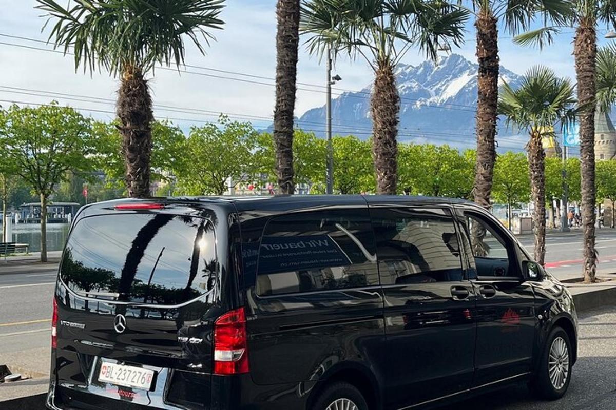 černý minivan zaparkovaný na ulici s palmami