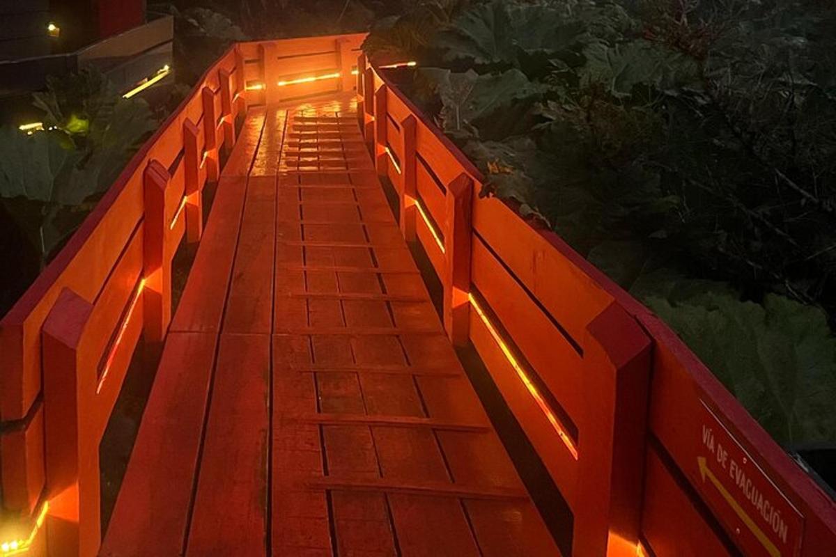 dřevěná cesta se světly v noci