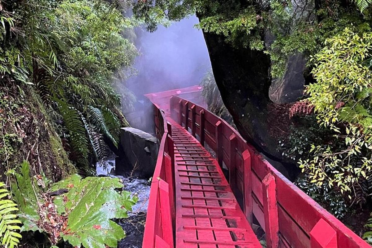 červený most přes potok v lese