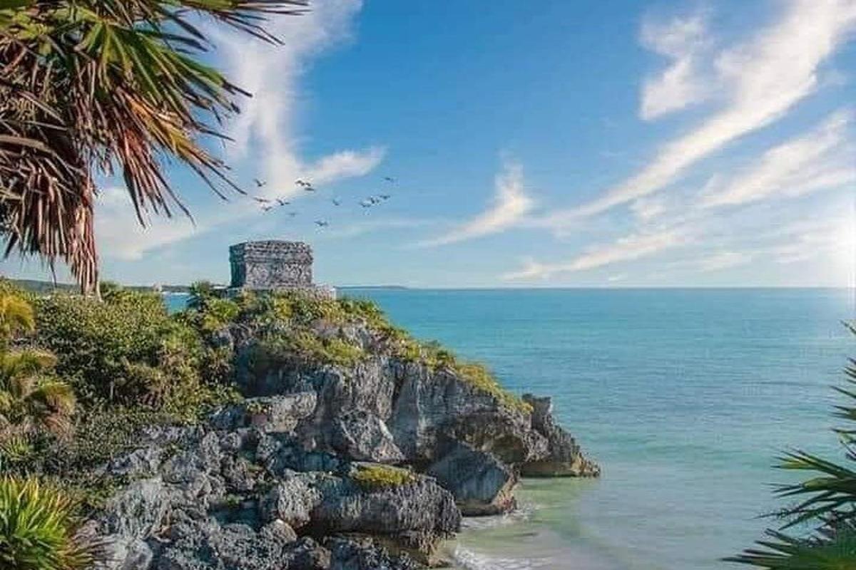 skupina vtákov letiaca nad oceánom