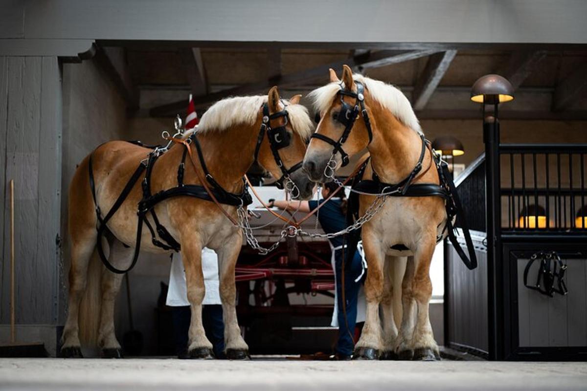 two horses are standing next to each other