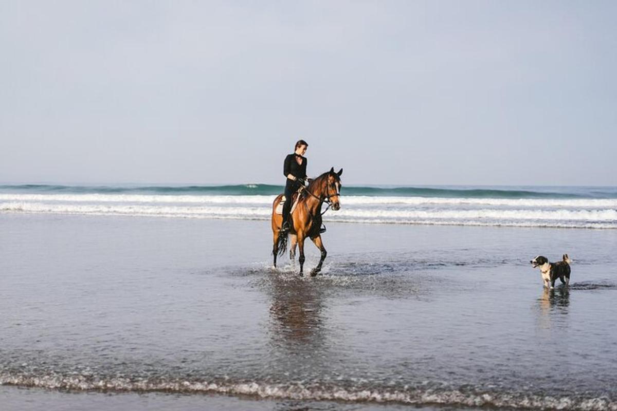 una persona a cavallo sulla spiaggia con un cane