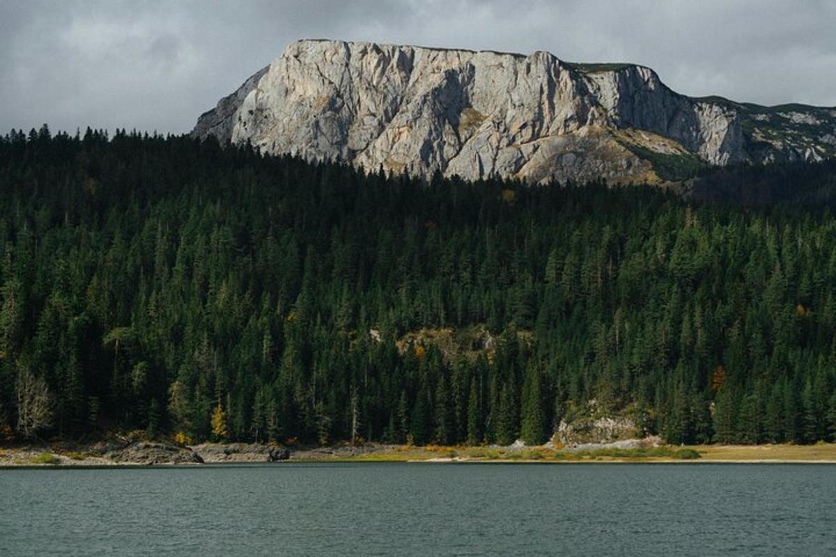 una muntanya amb un llac davant d'un bosc