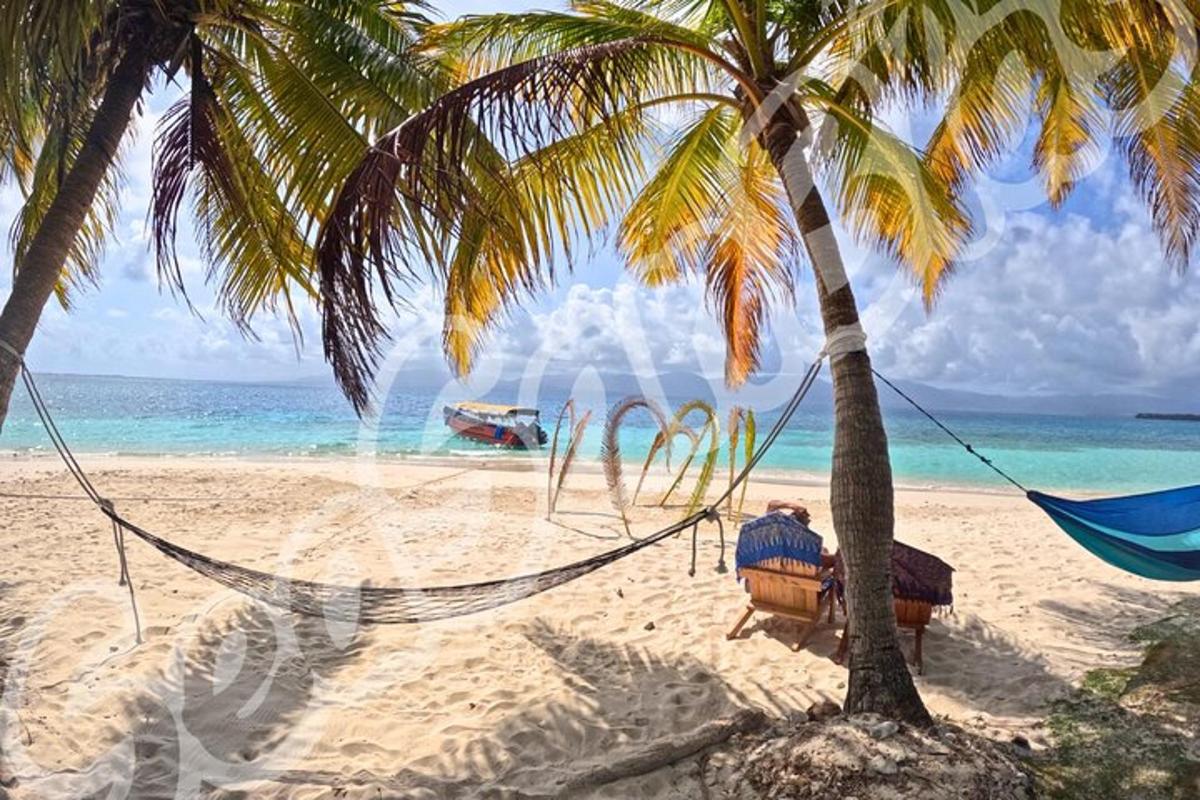 a hammock on a beach with two palm trees