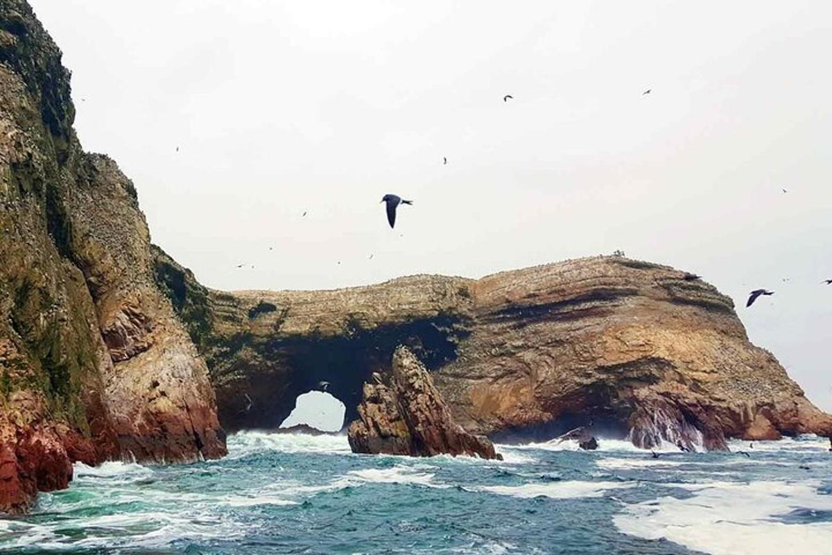 o peșteră într-o formațiune stâncoasă din ocean