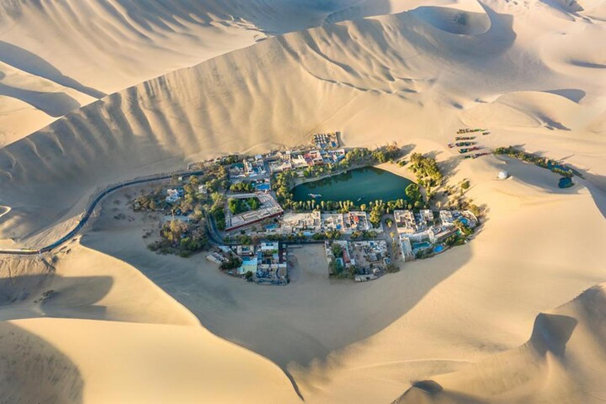 an aerial view of a resort in the desert