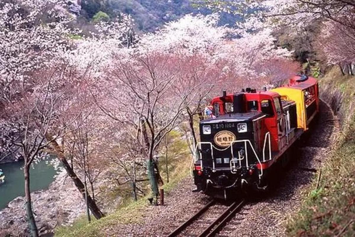 een trein op de rails met bloeiende bomen