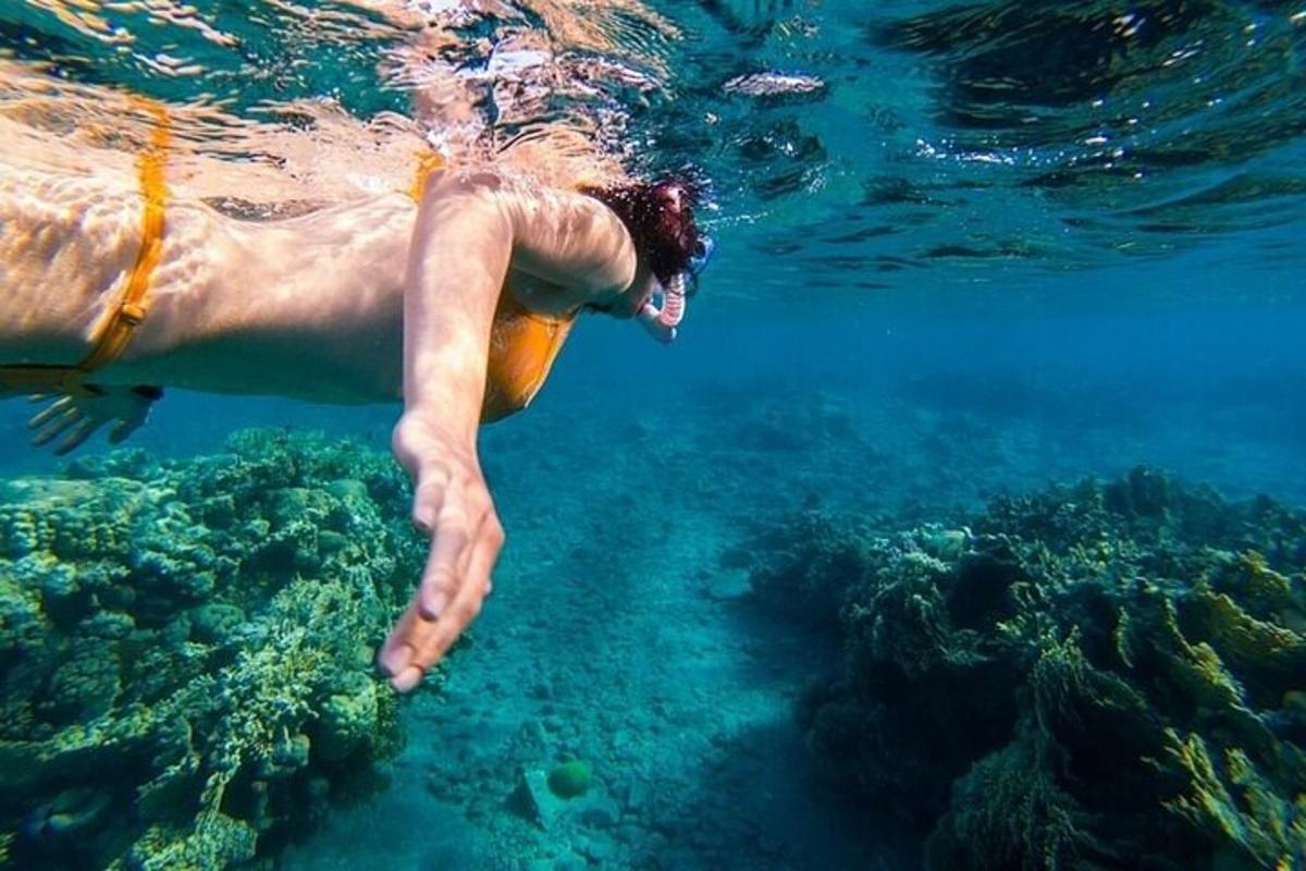 un uomo che nuota nell'acqua vicino a una barriera corallina
