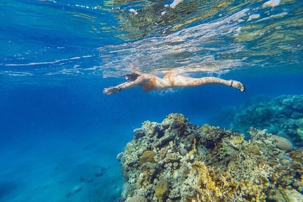 un uomo che nuota su una barriera corallina nell'oceano
