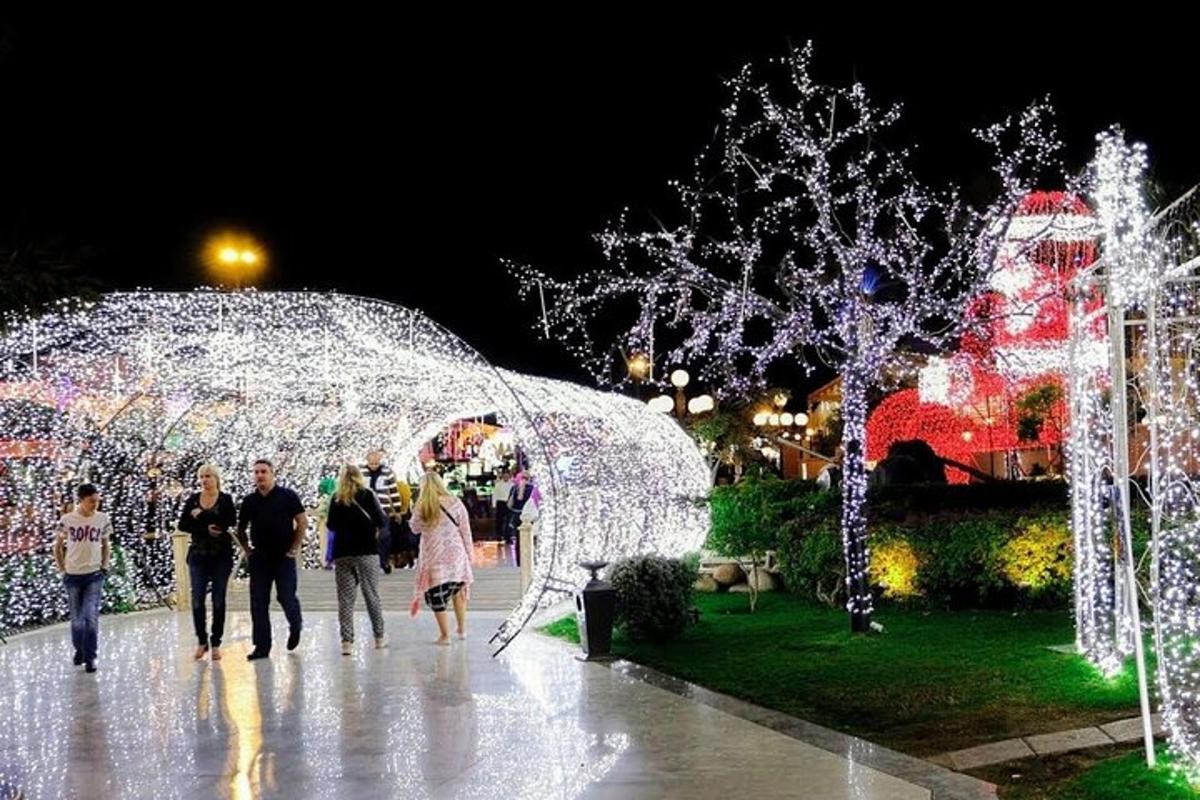 Μια ομάδα ανθρώπων που περπατούν σε ένα πάρκο με χριστουγεννιάτικα φώτα
