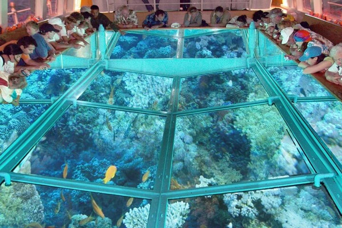 un grup de persones mirant un aquari submarí