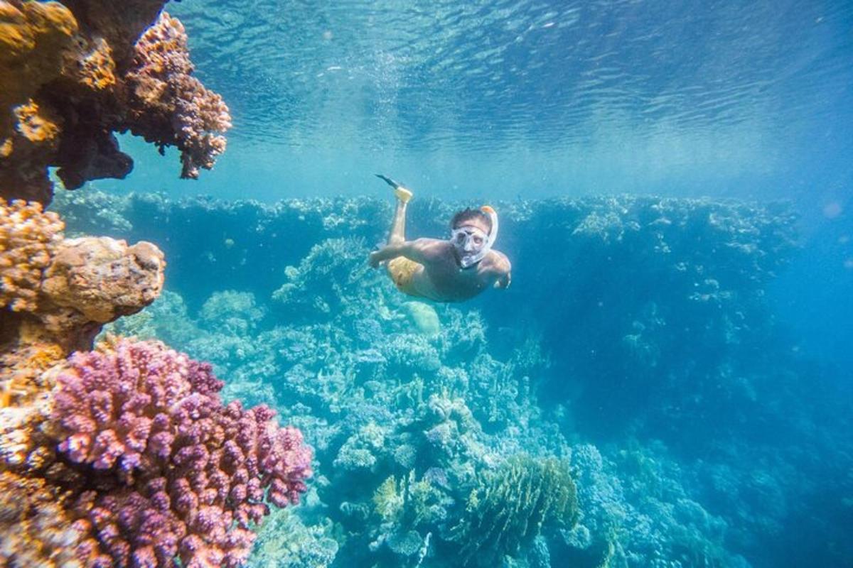 seorang lelaki berenang di dalam air berhampiran terumbu karang